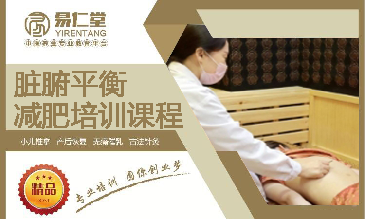脏腑平衡减肥培训课程